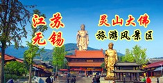 处女女神黄片视频江苏无锡灵山大佛旅游风景区